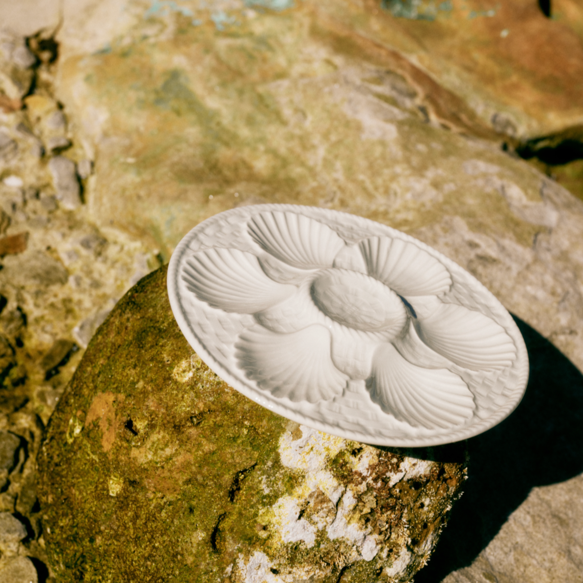 French Oyster Plate - Vintage